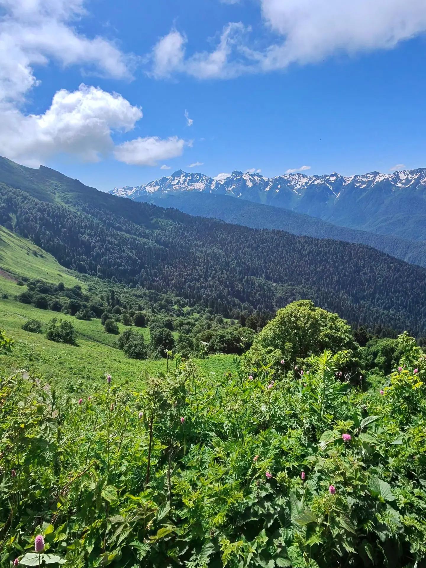 Агурские водопады